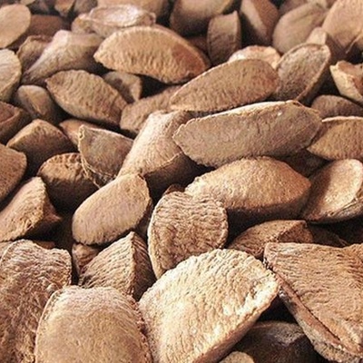 Nueces de Brasil