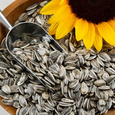 Semillas de girasol