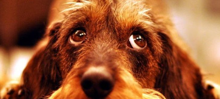 Famosas con celulitis y estrías: Ellas tampoco son perfectas [FOTOS