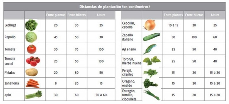 Distanciade plantación en el huerto