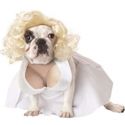 Disfraz de Famosos de perro