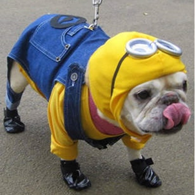 Disfraz de Minion para perro