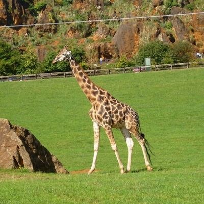 Parque Natural de Cabárceno