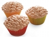 cerebros