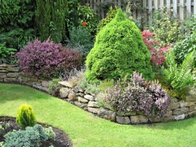 Jardín: Cuidados básicos y nociones de mantenimiento