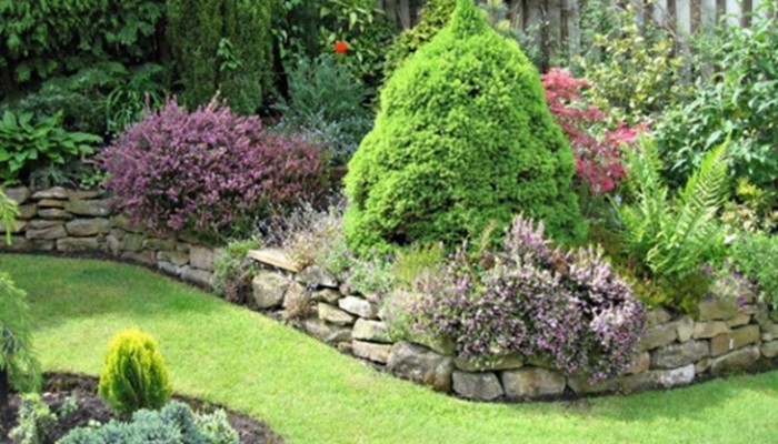 Jardín: Cuidados básicos y nociones de mantenimiento