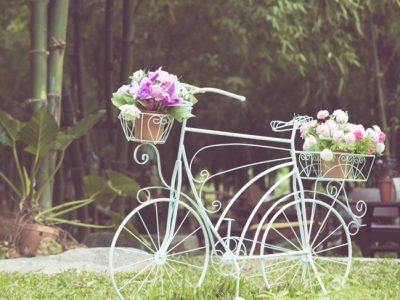 Plantas de verano para jardín: Las más adecuadas