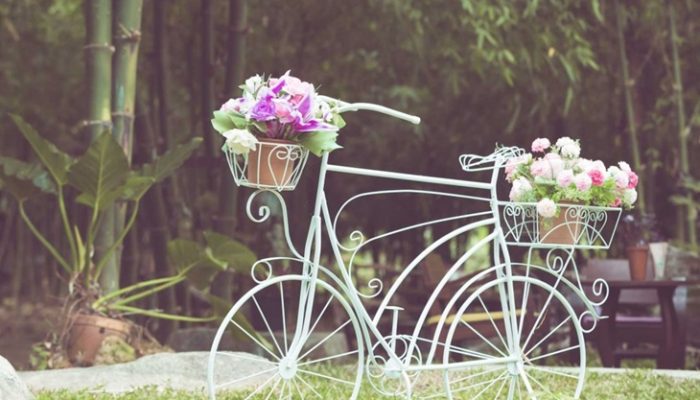 Plantas de verano para jardín: Las más adecuadas