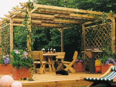 Plantas aromáticas y medicinales para el jardín: Tipos y consejos