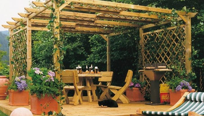 Plantas aromáticas y medicinales para el jardín: Tipos y consejos