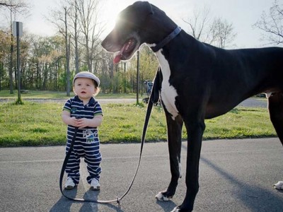 Niños y mascotas: Los mejores amigos