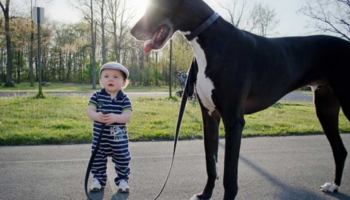 Niños y mascotas: Los mejores amigos