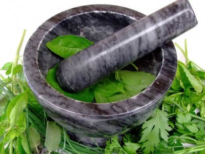 Los 5 antibióticos naturales más efectivos contra virus y bacterias
