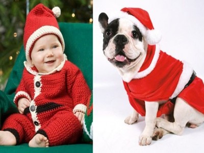 Disfraz de Papa Noel para bebés, adultos y mascotas: Ideas DIY