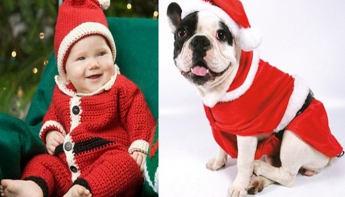 Disfraz de Papa Noel para bebés, adultos y mascotas: Ideas DIY