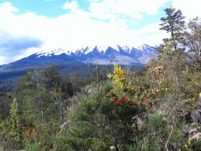El Sur de Chile, de Concepción a Puerto Montt