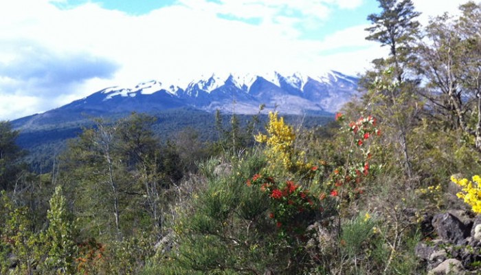 El Sur de Chile, de Concepción a Puerto Montt
