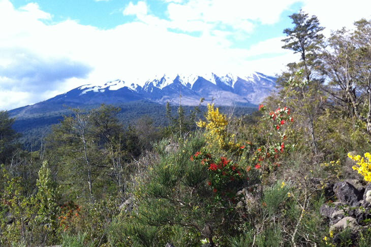 El Sur de Chile, de Concepción a Puerto Montt