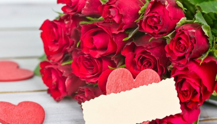 Significado de las flores para regalar en San Valentín
