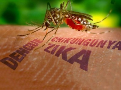 Virus Zika: Síntomas y riesgos según la OMS