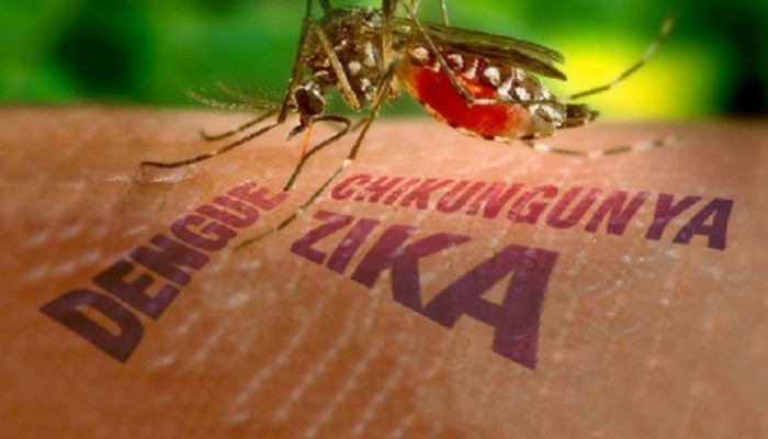 Virus Zika: Síntomas y riesgos según la OMS