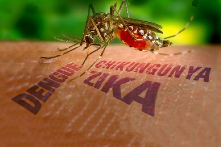 Virus Zika: Síntomas y riesgos según la OMS