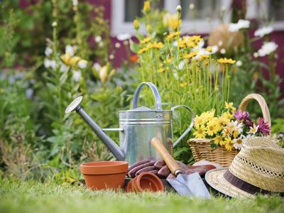 Plantas de primavera para el jardín: Las flores más bonitas