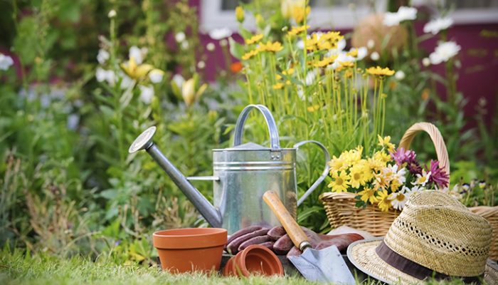 Plantas de primavera para el jardín: Las flores más bonitas