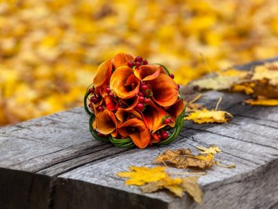 5 Flores de otoño que no te dejarán indiferente