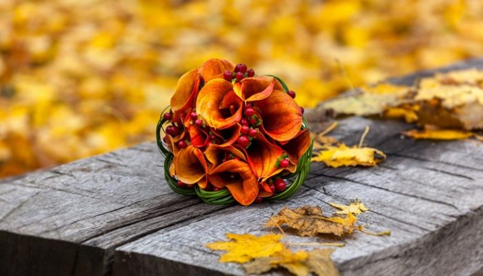 5 Flores de otoño que no te dejarán indiferente