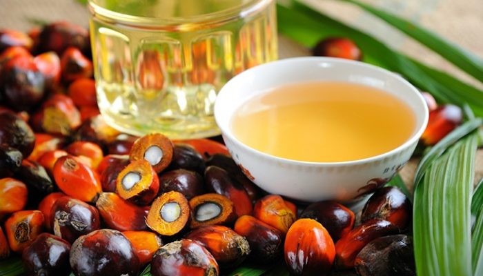 Aceite de palma: Todo lo que debes saber sobre su consumo
