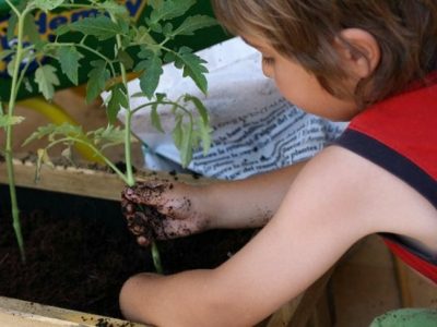 Actividades para niños en primavera: Ideas geniales