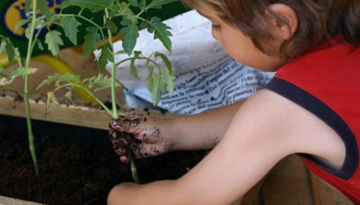Actividades para niños en primavera: Ideas geniales