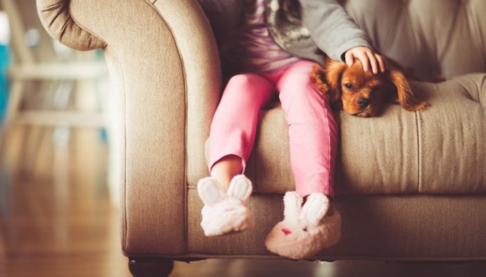 Mamá quiero un perro ¿lo puedo tener?