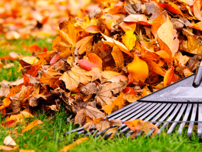 5 tareas que realizar en el jardín cuando llega el otoño
