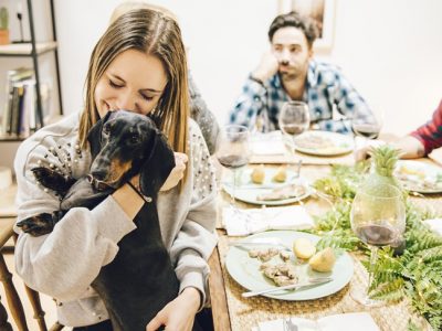 6 razones de peso por las que adoptar una mascota