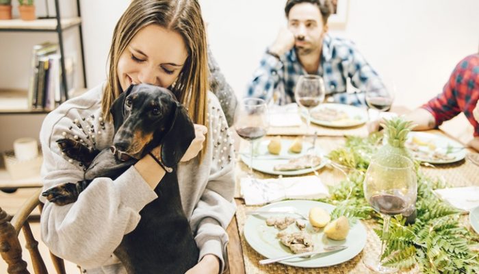 6 razones de peso por las que adoptar una mascota