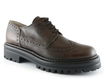 zapatos blucher